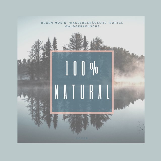 100% Natural: Regen Musik, Wassergeräusche, Ruhige Waldgeraeusche