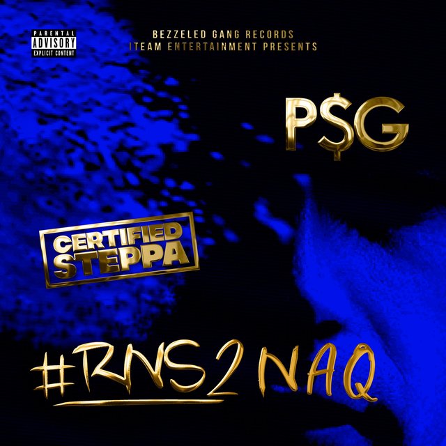RNS 2 N & Q