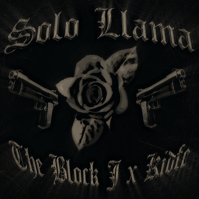 SOLO LLAMA
