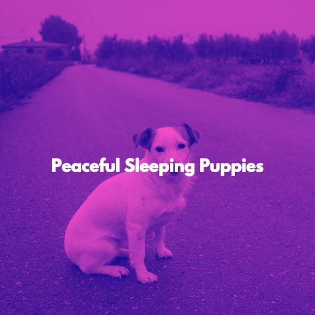 Peaceful Sleeping Puppies