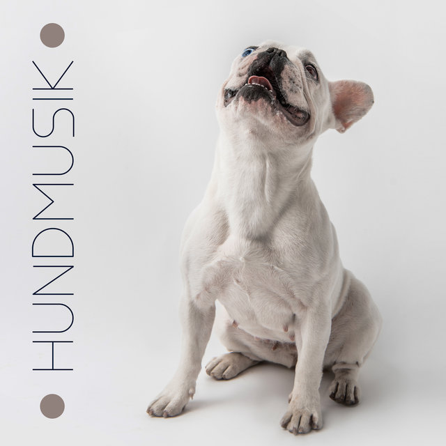 Hundmusik - Sovmusik för hundar