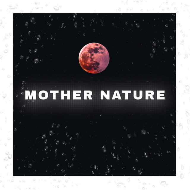 Mother Nature Night Forest