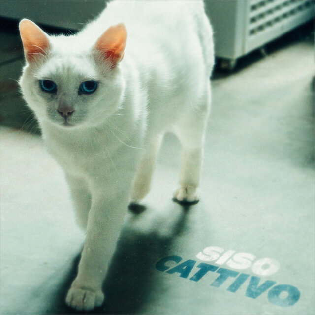 CATTIVO