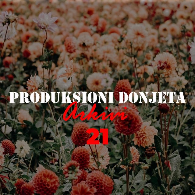 Arkivi 21 Produksioni Donjeta