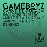 Carne de Puerca (Original Mix)