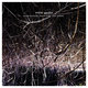 Cover art for album Winter Garden by Eraldo Bernocchi, Harold Budd, Robin Guthrie