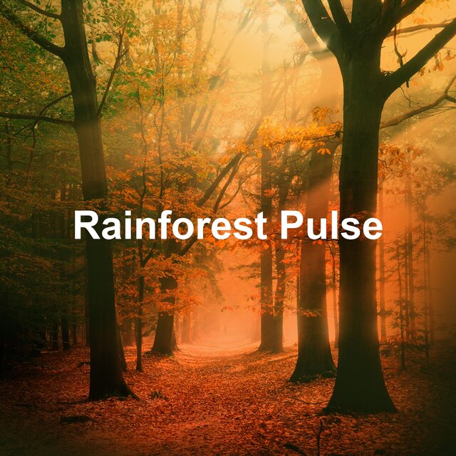 Rainforest Pulse