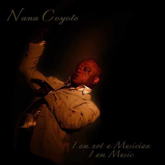 I AM NOT A MUSICIAN, I AM MUSIC