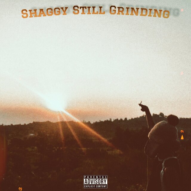 Shaggy Still Grinding