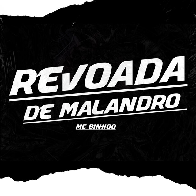 Revoada de Malandro
