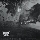 Флуктуации тьмы
