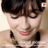 Concerto in G Minor, BWV 1056, Arr. for Flute and Orchestra: II. Largo