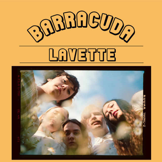 Barracuda