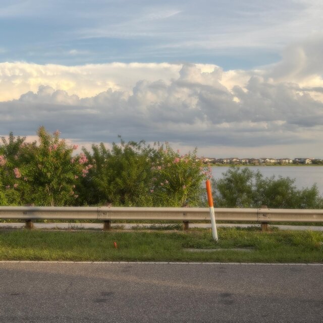 The World's Gone Home