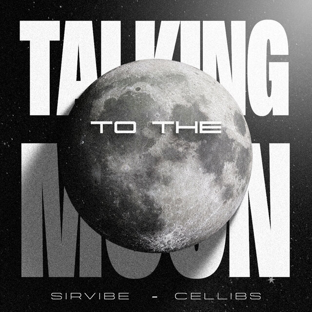 Talking to the Moon (Radio Edit)