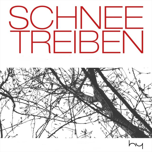 Schneetreiben