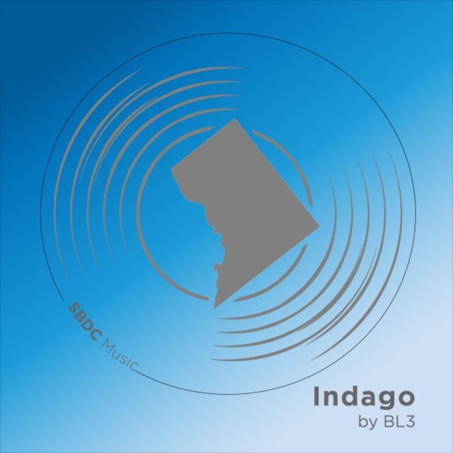 Indago
