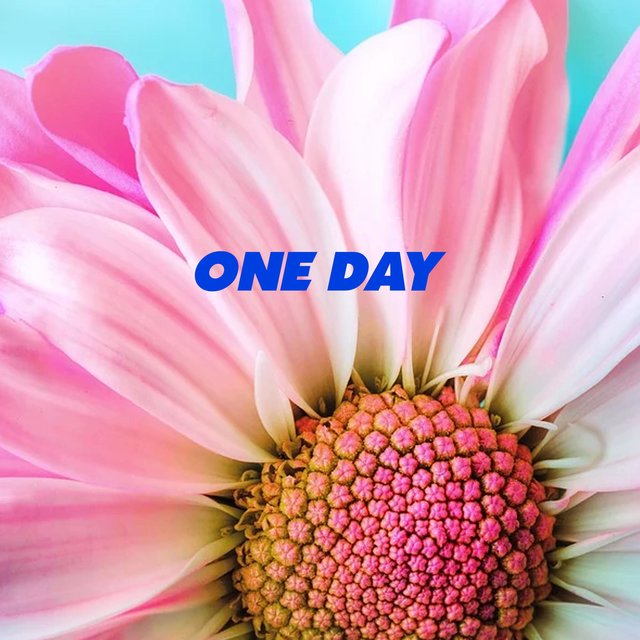 one day