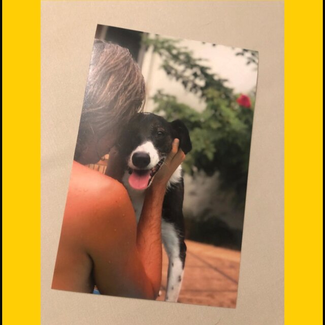 Das Model