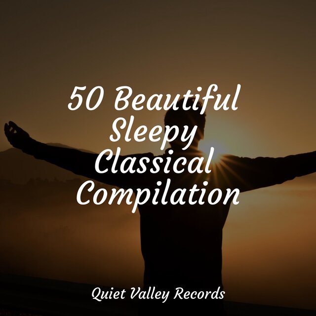 50 Beautiful Sleepy Classical Compilation