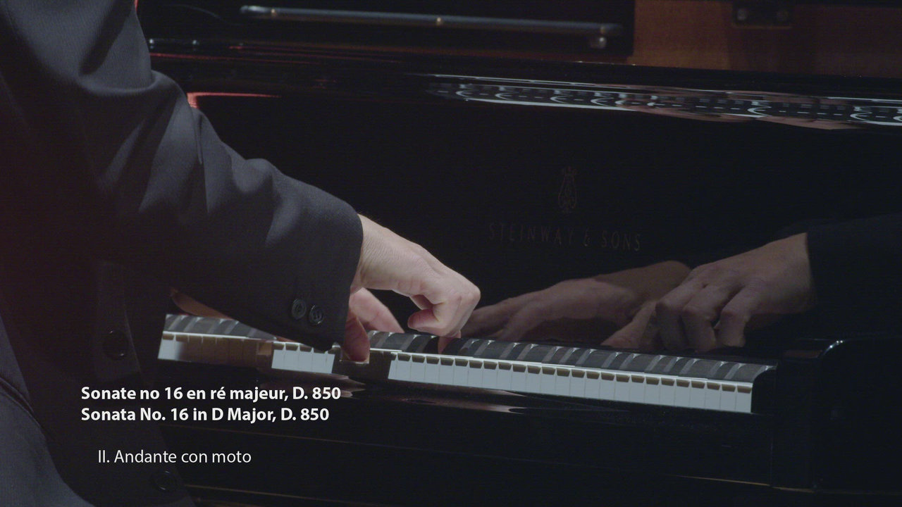 Sonata No. 16 in D Major, D. 850: II. Andante con moto
