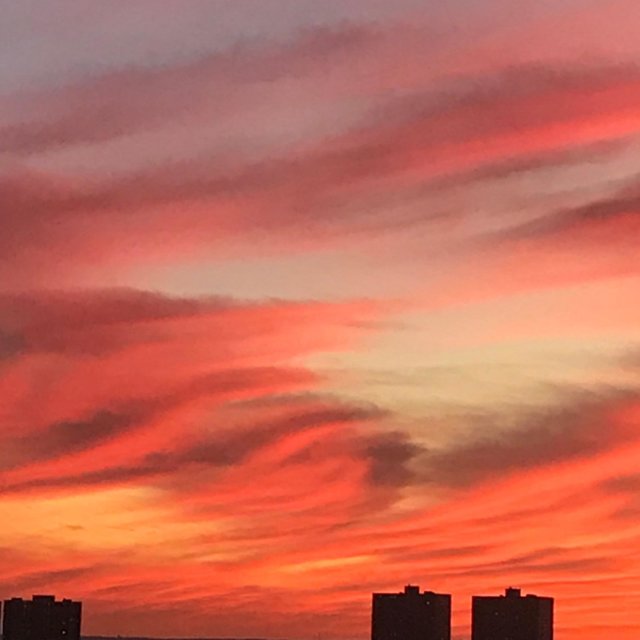Sunshine Towns