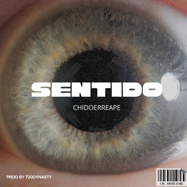 SENTIDO (feat. 720Dynasty)