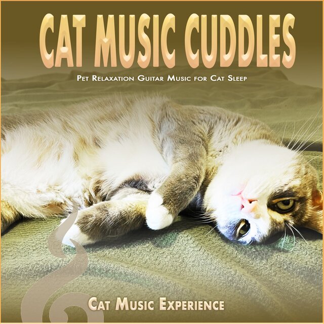 Cat Music Cuddles: Pet Relaxation Guitar Music for Cat Sleep