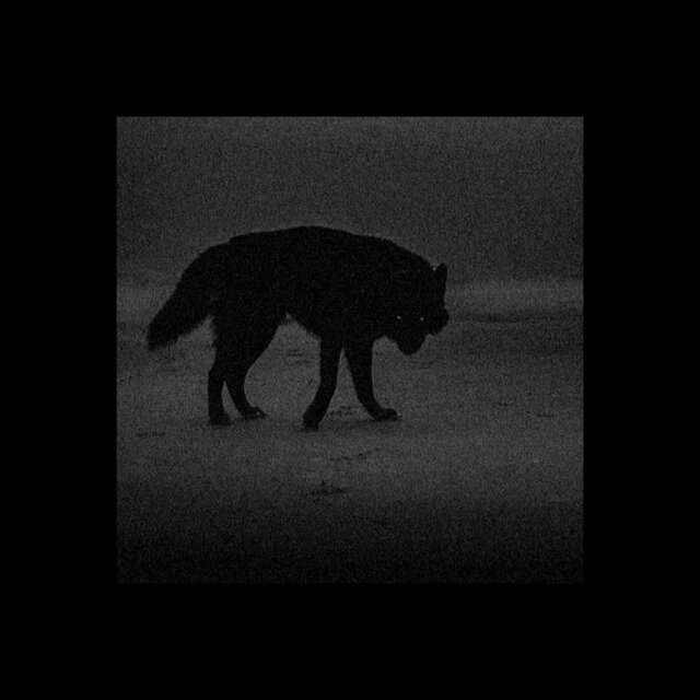Cover art for album ~ Stay in the Light ~ by User