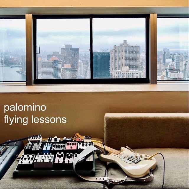 Flying Lessons