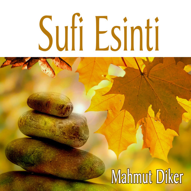 Sufi Esinti