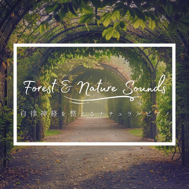 Natural Piano & Forest Sounds: Music for Autonomic Nerve Balance