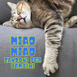 The Walzing Cat
