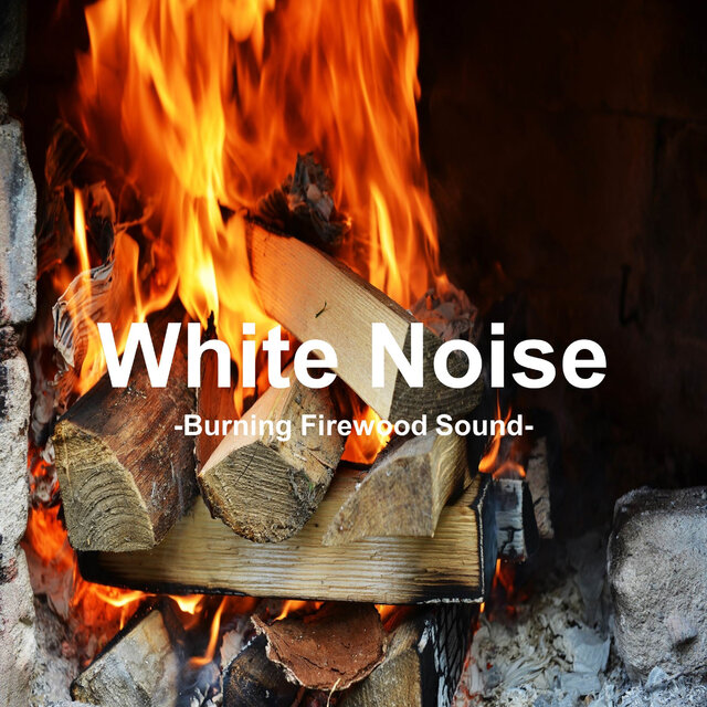 Improve Concentration Sound of Burning Firewood 1 Hour (Bonfire Sound, Wood Firewood Burning Sound, Test, Concentration, Study, White Noise)