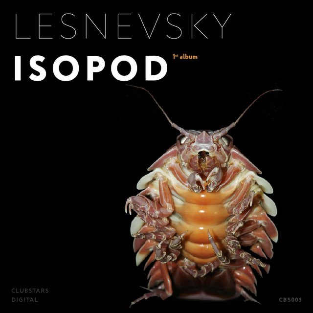Isopod