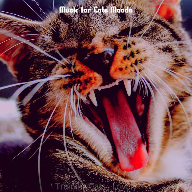 Training Cats - Lovely