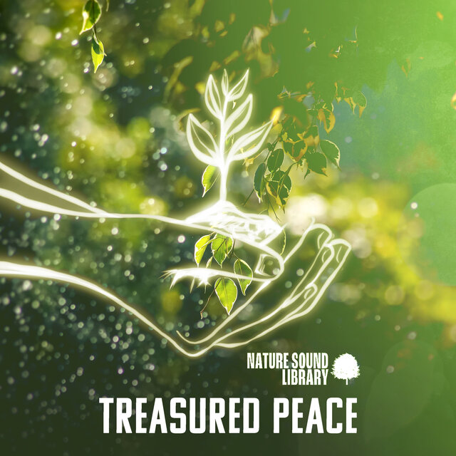 Treasured Peace