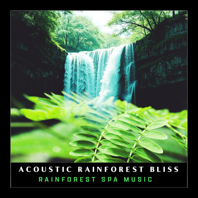 Acoustic Rainforest Bliss