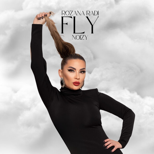 Fly