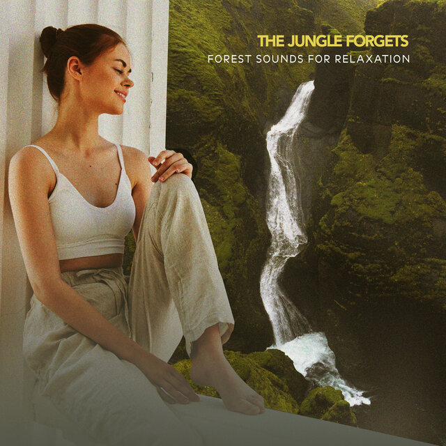 The Jungle Forgets