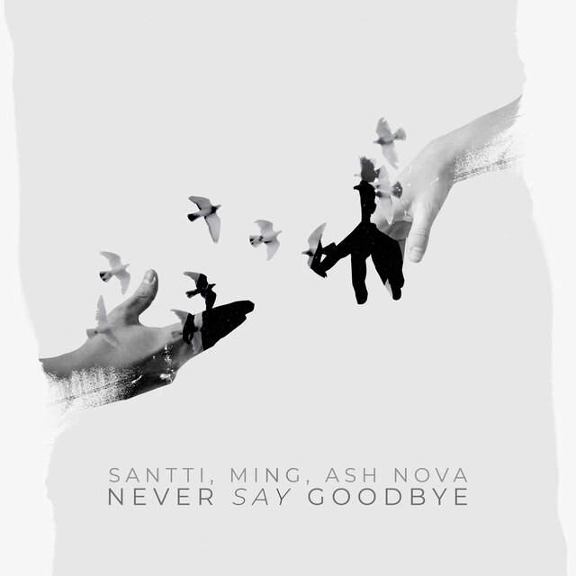 Never Say Goodbye