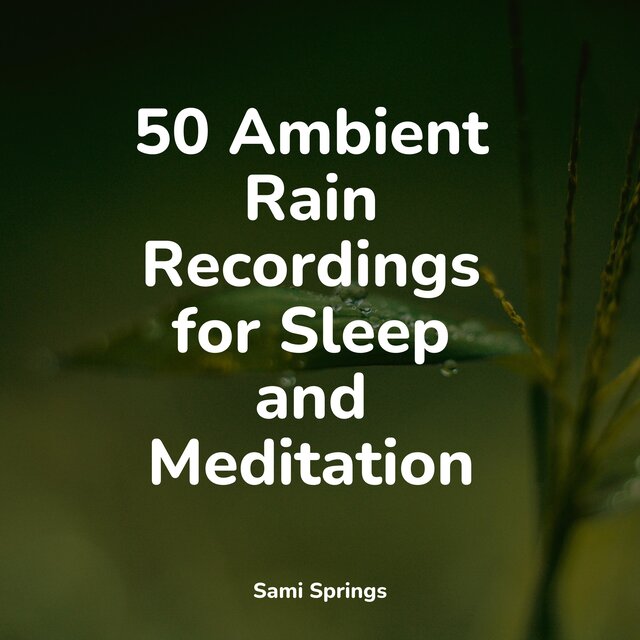 50 Ambient Rain Recordings for Sleep and Meditation by Water Spa, Rain ...