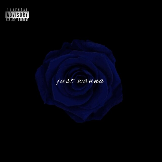 Just Wanna