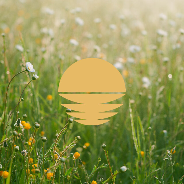 Forest & Fields
