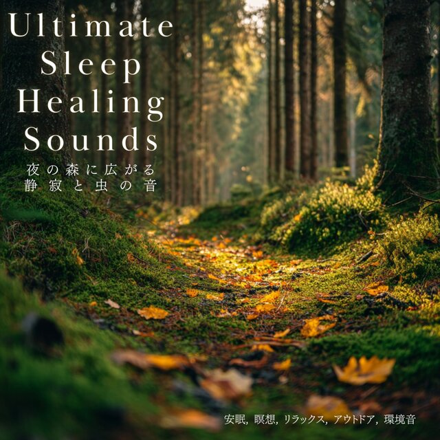 Night Forest Ambience with Insect Sounds - Deep Sleep, Meditation, Relaxation, Outdoor, Ambient Sounds, Ultimate Sleep Healing Sounds