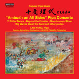 Pipa Concerto 
