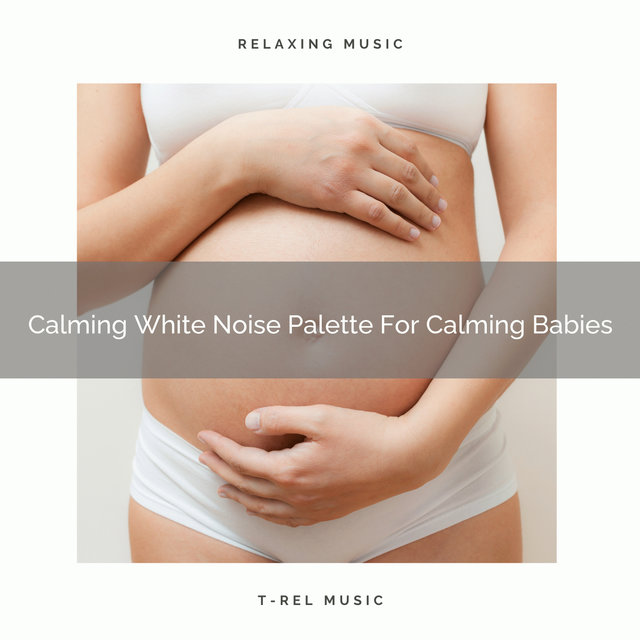 Calming White Noise Palette For Calming Babies