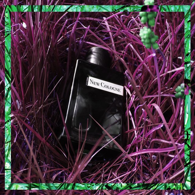 New Cologne (feat. Mircéa)