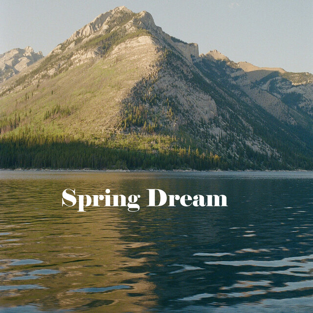 Spring Dream