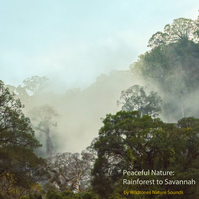 Peaceful Nature: Rainforest to Savannah